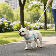 Adjustable Dog Harness - Nylon Padded Comfort - Harness for Walking Dogs