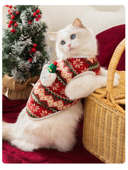 Adorable Winter 3D Bear Knit Sweater