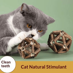 Catnip & Silvervine Dental Chew Ball