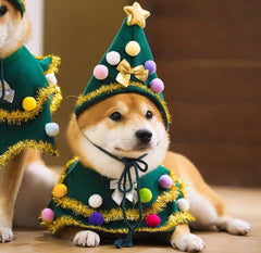 Christmas hat and collar
