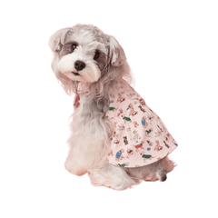 Denim Overall Dress with Harness Adjustable