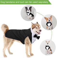 Tuxedo and Bandana Suit Costumes