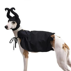Enchanting Witch Halloween Costume