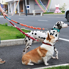 Handmade Twisted Braided Dog Leash