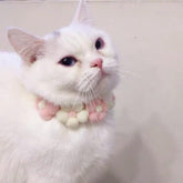 Knitted Flower Collar