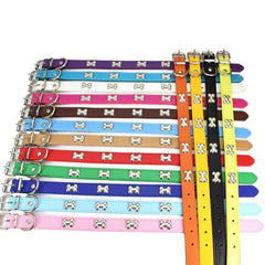 Leather Dog Collar with Bone Decoration