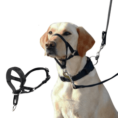 Muzzle for dogs