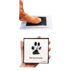 Paw Print Memory Ink Pad