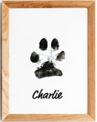 Paw Print Memory Ink Pad