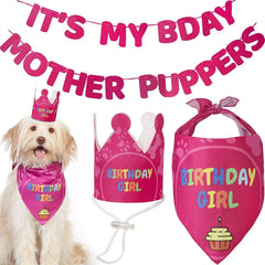 Pet Birthday Party Set: Banner, Hat, and Neckerchief 🎉