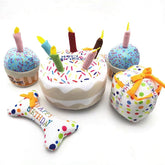 Birthday Cake Squeaky Toys