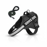 Reflective Adjustable Dog Harness – Strong Polyester for Walking