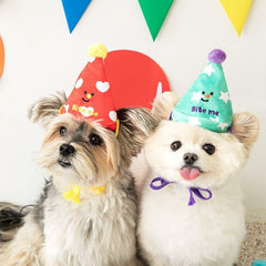 3-in-1 Interactive Celebration Kit
