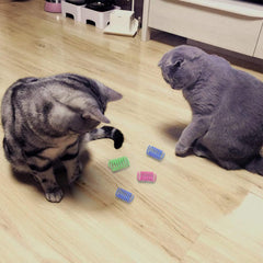 Spiral Spring Cat Toy Set