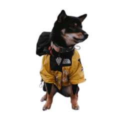 Stormproof Jacket