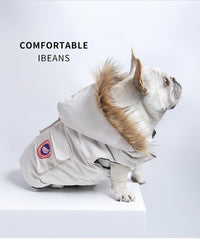 Thickened Cotton Down Jacket