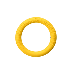 Toy Training Ring