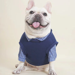T-shirt Velvet Fleece-lined