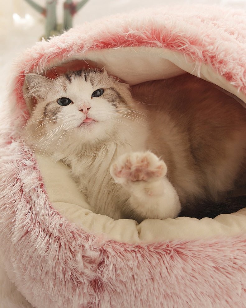 [BEST SELLER] Snuggle into Comfort with the 2-in-1 Bed