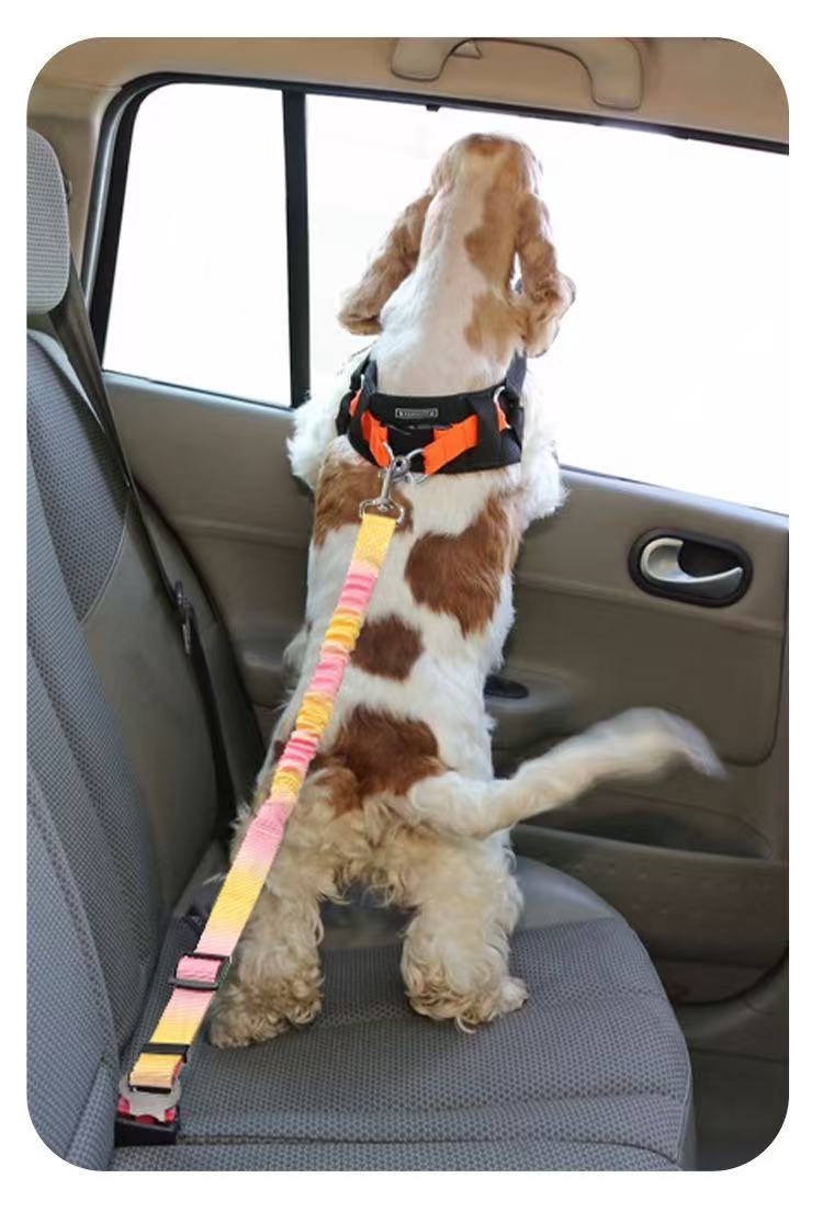 Adjustable Car Dog Safety Leash