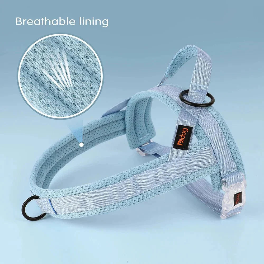 Adjustable Dog Harness - Nylon Padded Comfort - Harness for Walking Dogs