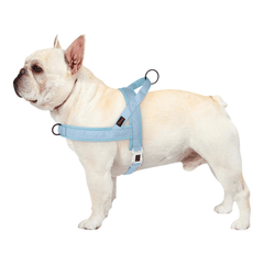 Adjustable Dog Harness - Nylon Padded Comfort - Harness for Walking Dogs