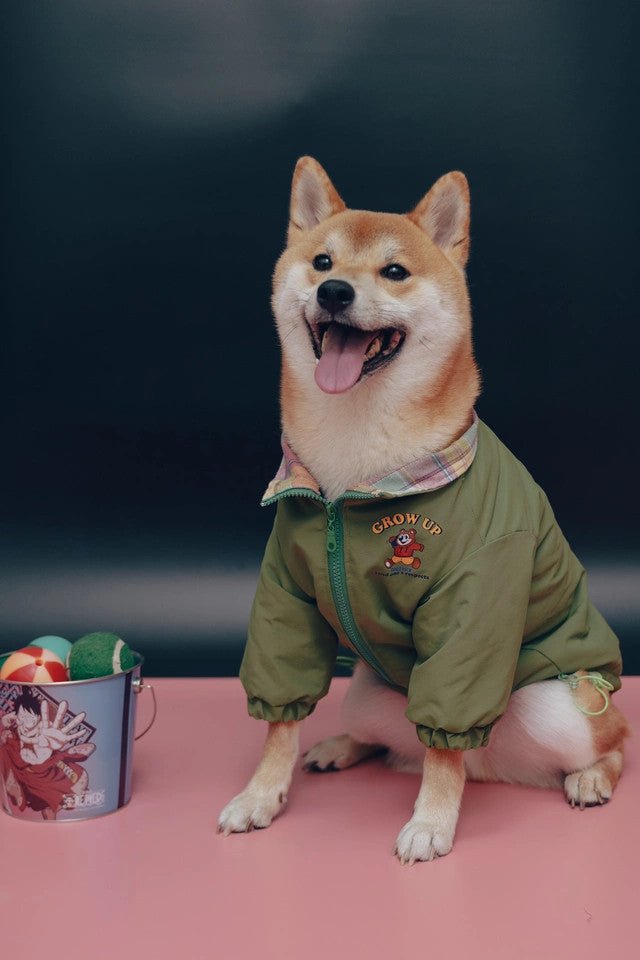 Adventure Jacket