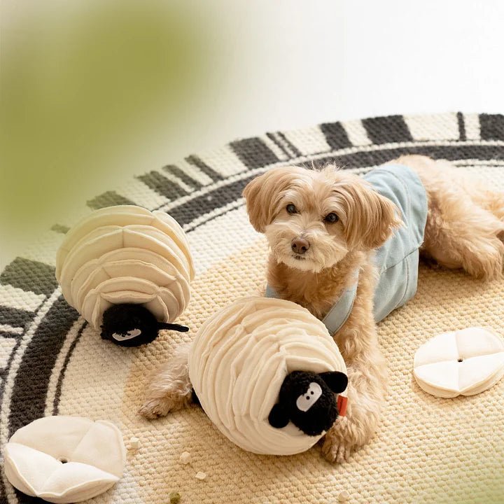Animal pig snuffle toy