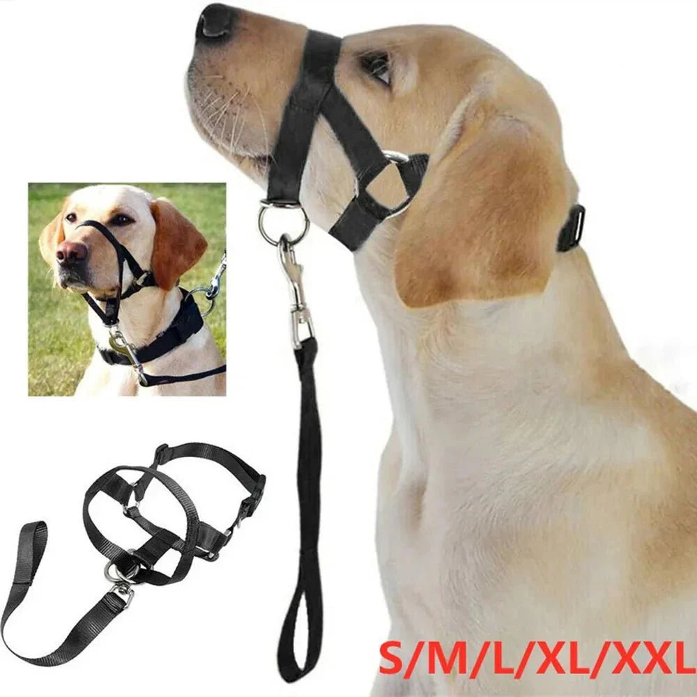 Anti-Pull Dog Halter – Halti-Style