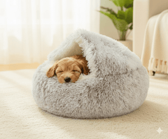 [BEST SELLER] Snuggle into Comfort with the 2-in-1 Bed