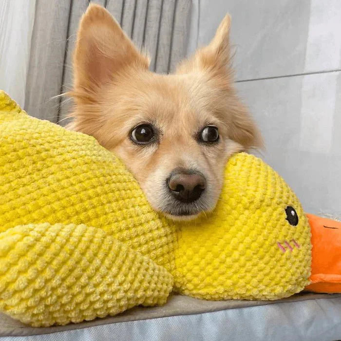 [BEST SELLER] Calming Duck Dog Toy