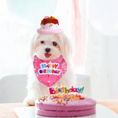 Candy Colored Pet Birthday Dress Up Set