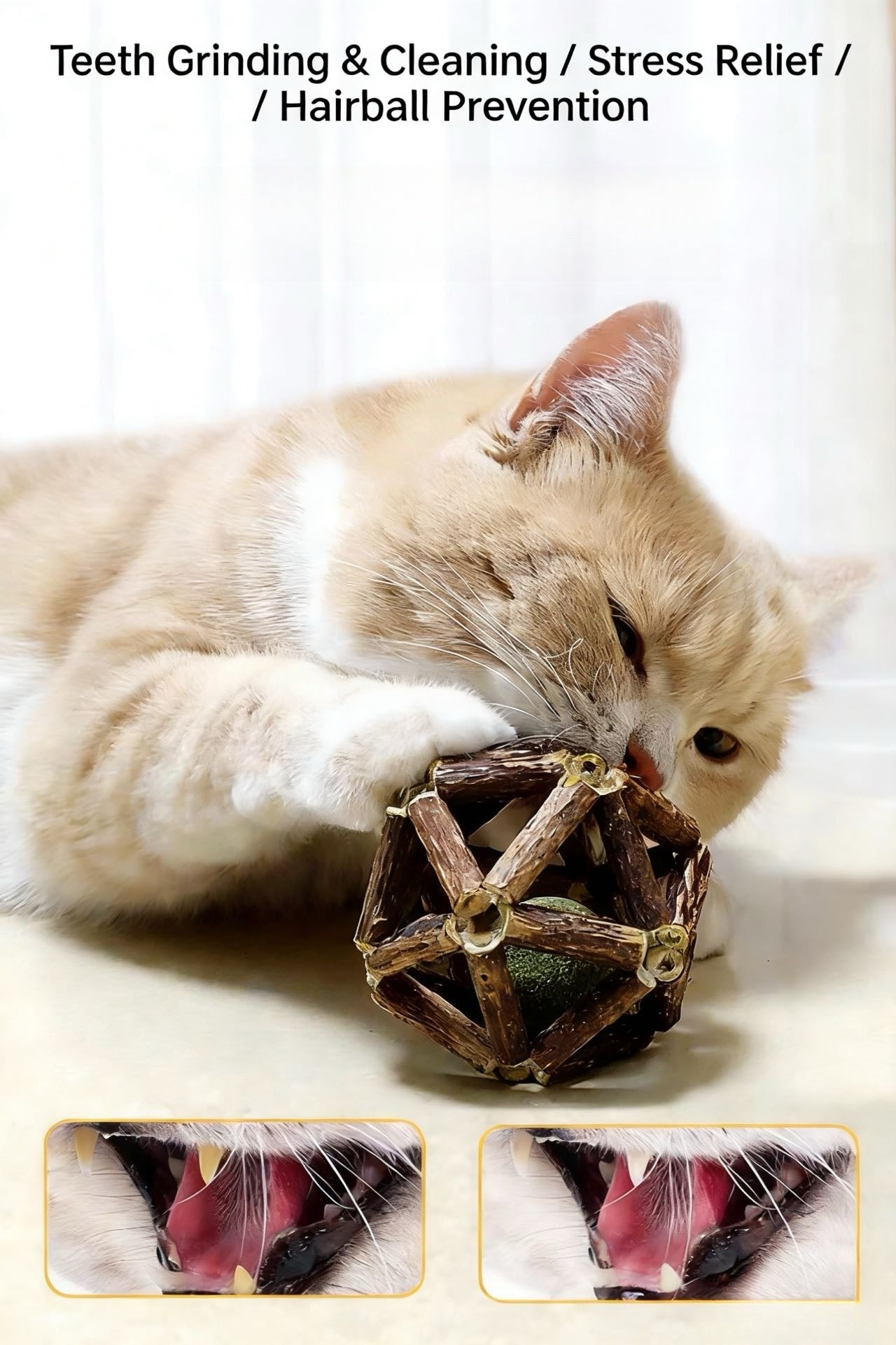 Cat Chew Toy 5-Piece Set