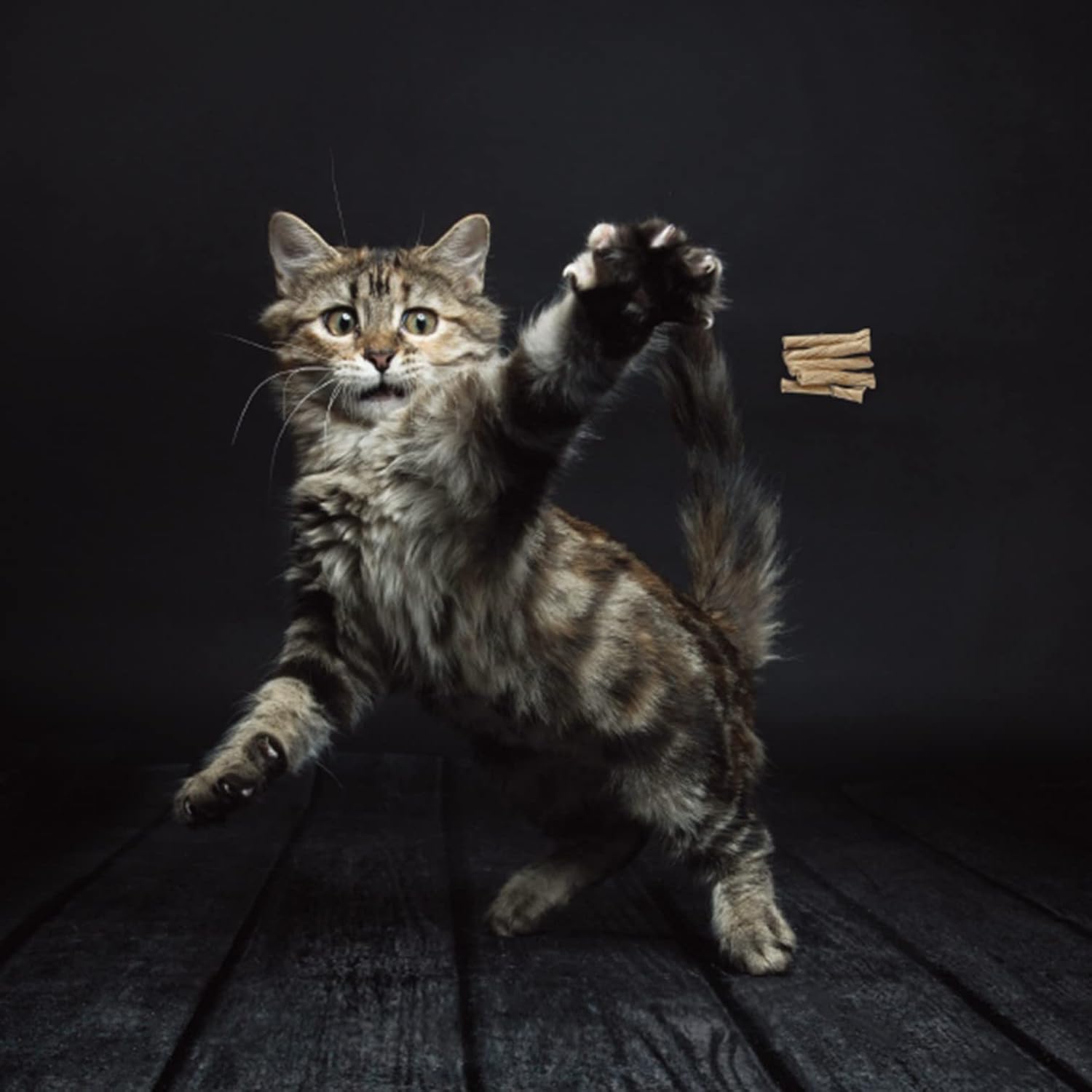 Cat Dancer Interactive Wand Toy