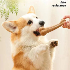 Chew Toy Stick Pine Wood