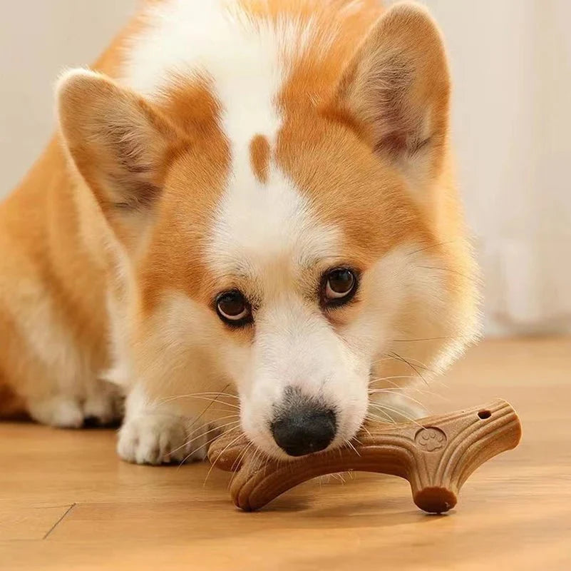 Chew Toy Stick Pine Wood