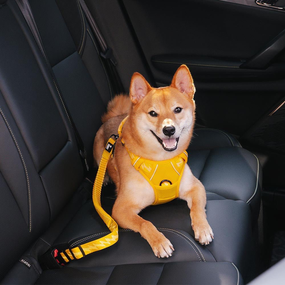 CoolPaw Buffer - Adjustable Safe Dog Car Belt