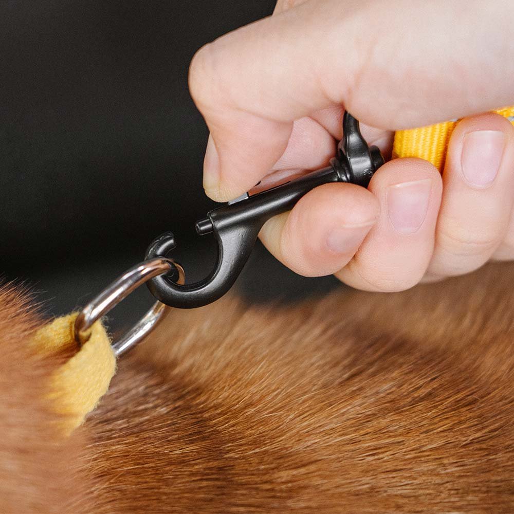CoolPaw Buffer - Adjustable Safe Dog Car Belt
