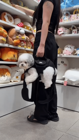 [HOT SALE] Pet Carrier Backpack