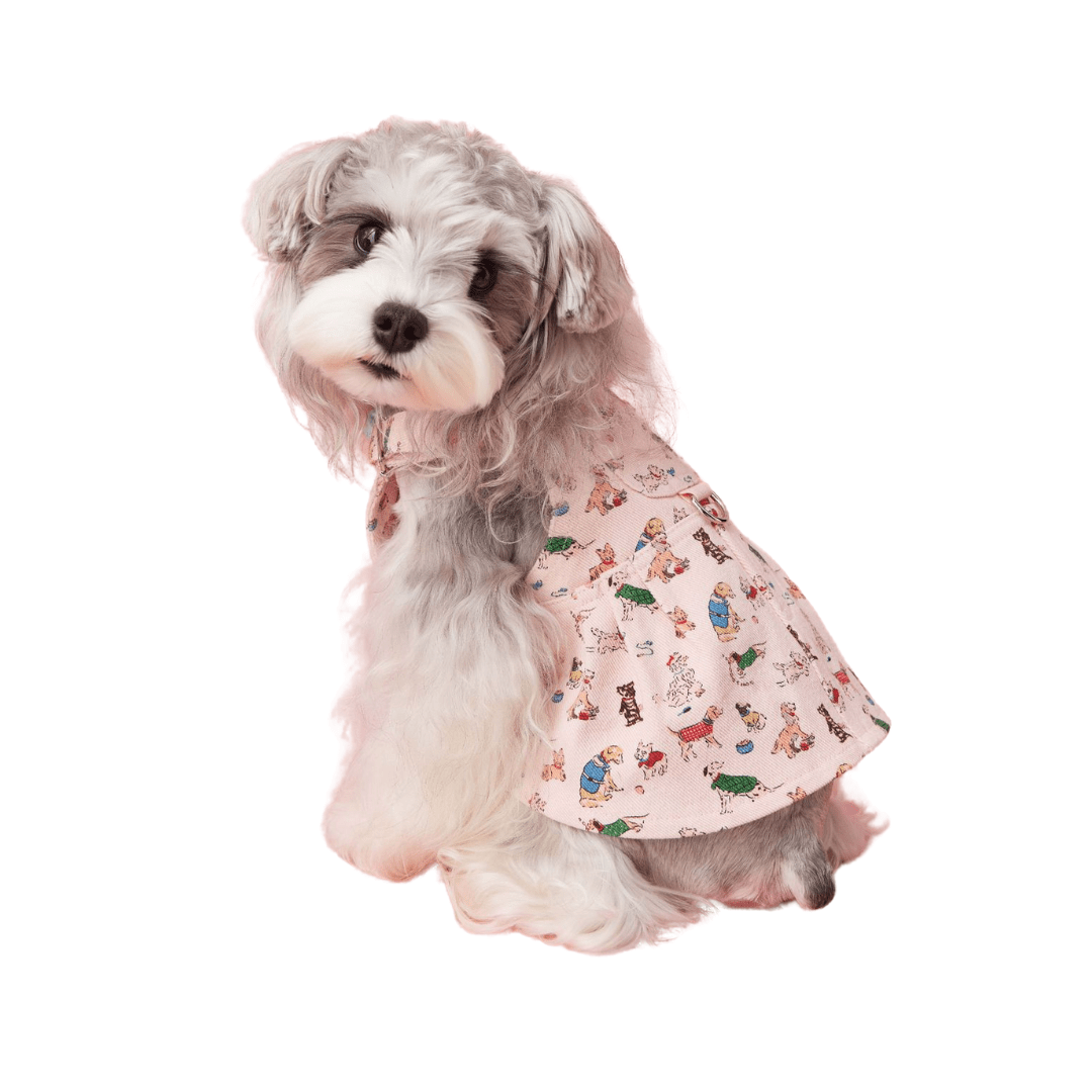 Denim Overall Dress with Harness Adjustable
