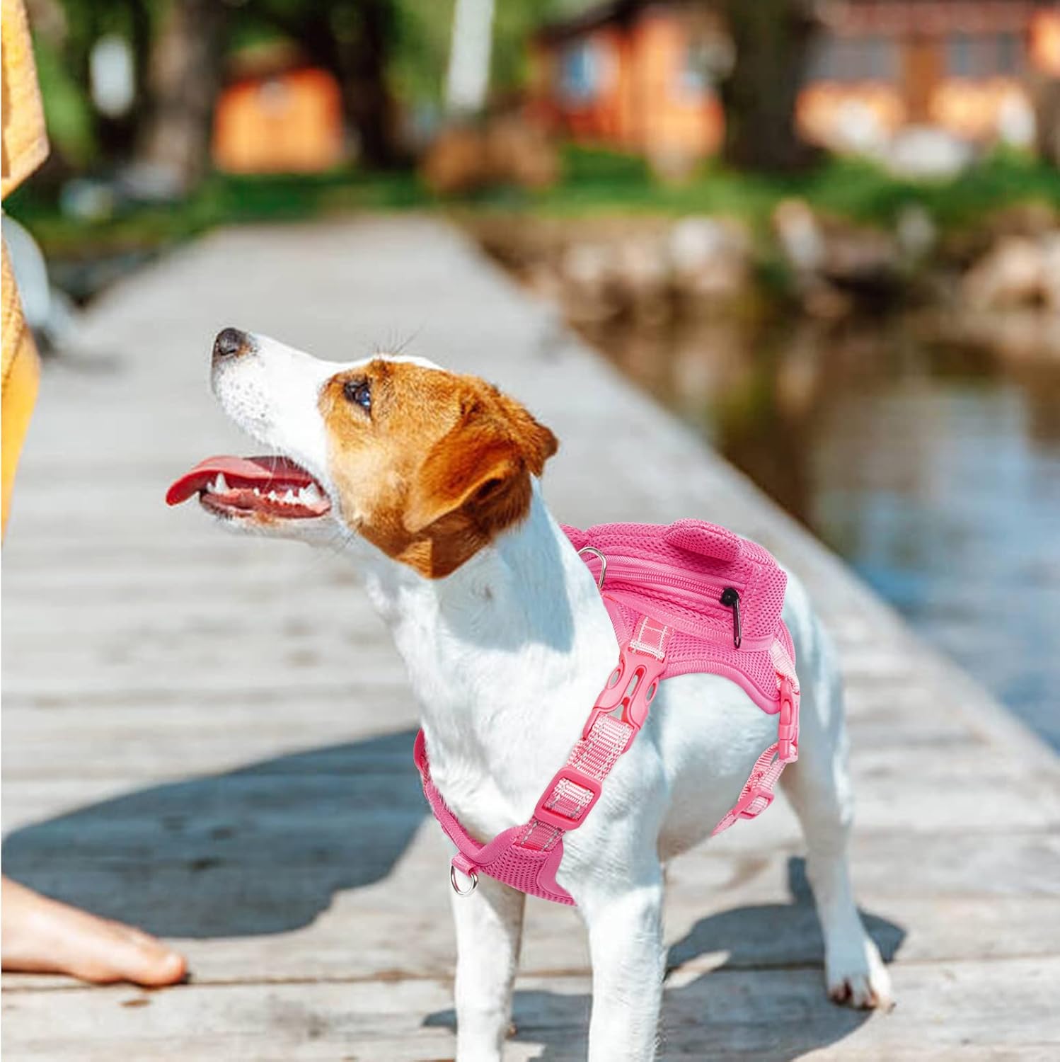 Dog Backpack Harness No-Pull with D-Ring outdoor hiking