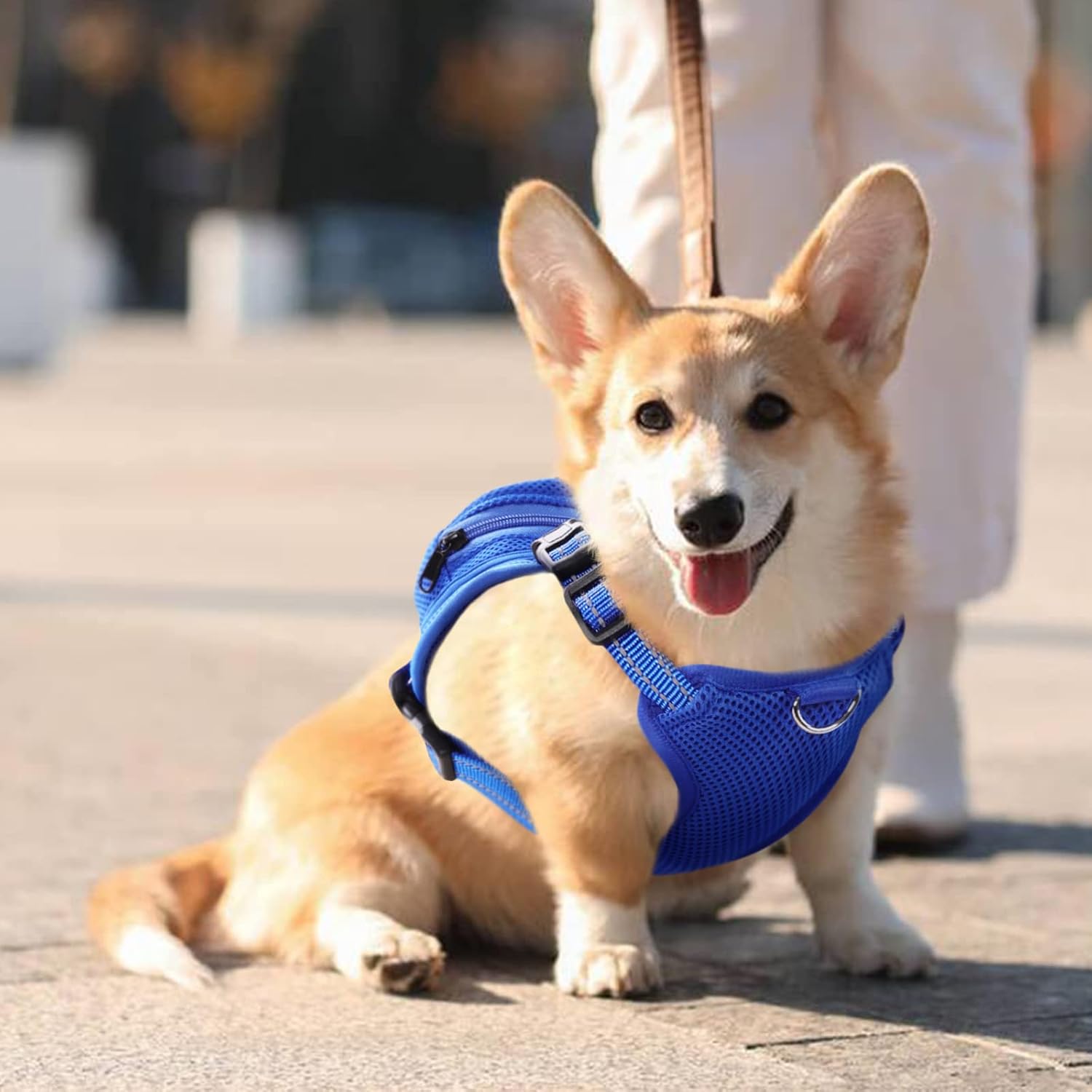 Dog Backpack Harness No-Pull with D-Ring outdoor hiking