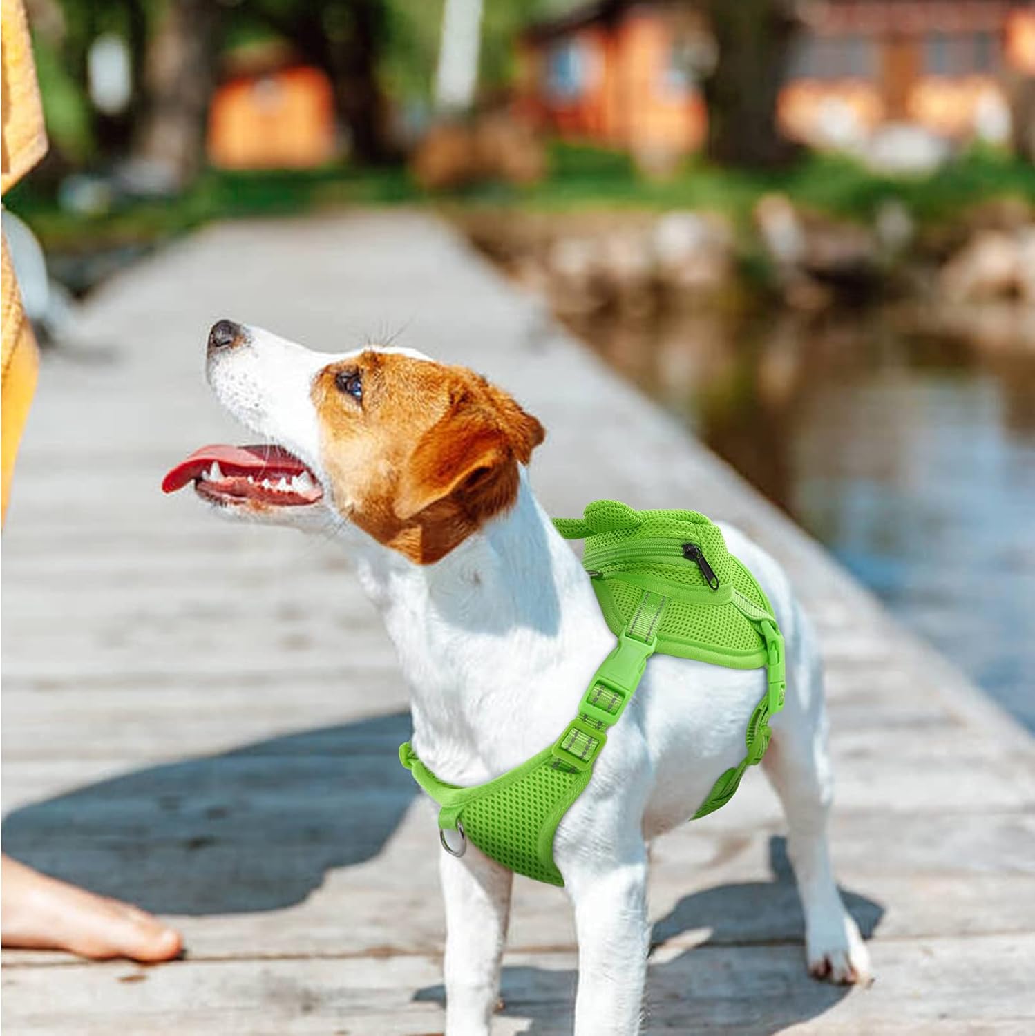 Dog Backpack Harness No-Pull with D-Ring outdoor hiking
