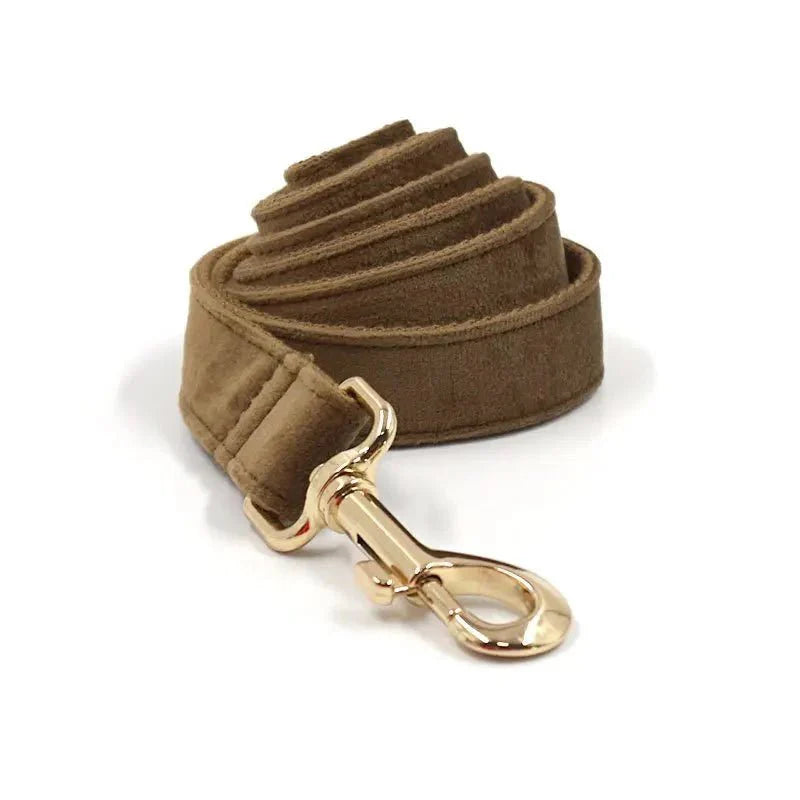 Dog Collar - Including Leash