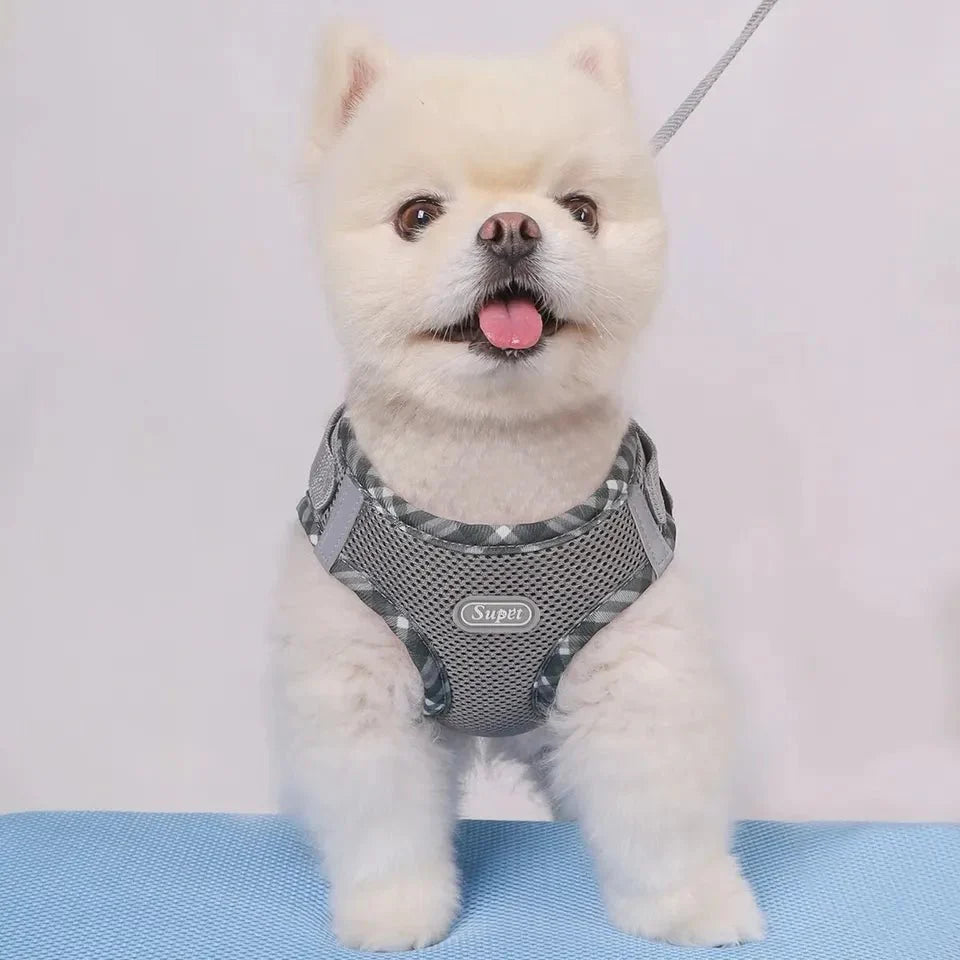 Dog Harness Anti-Pull Adjustable Easy to Control