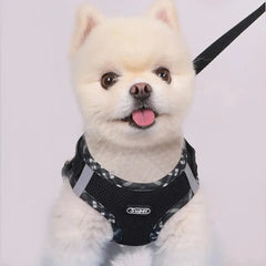 Dog Harness Anti-Pull Adjustable Easy to Control
