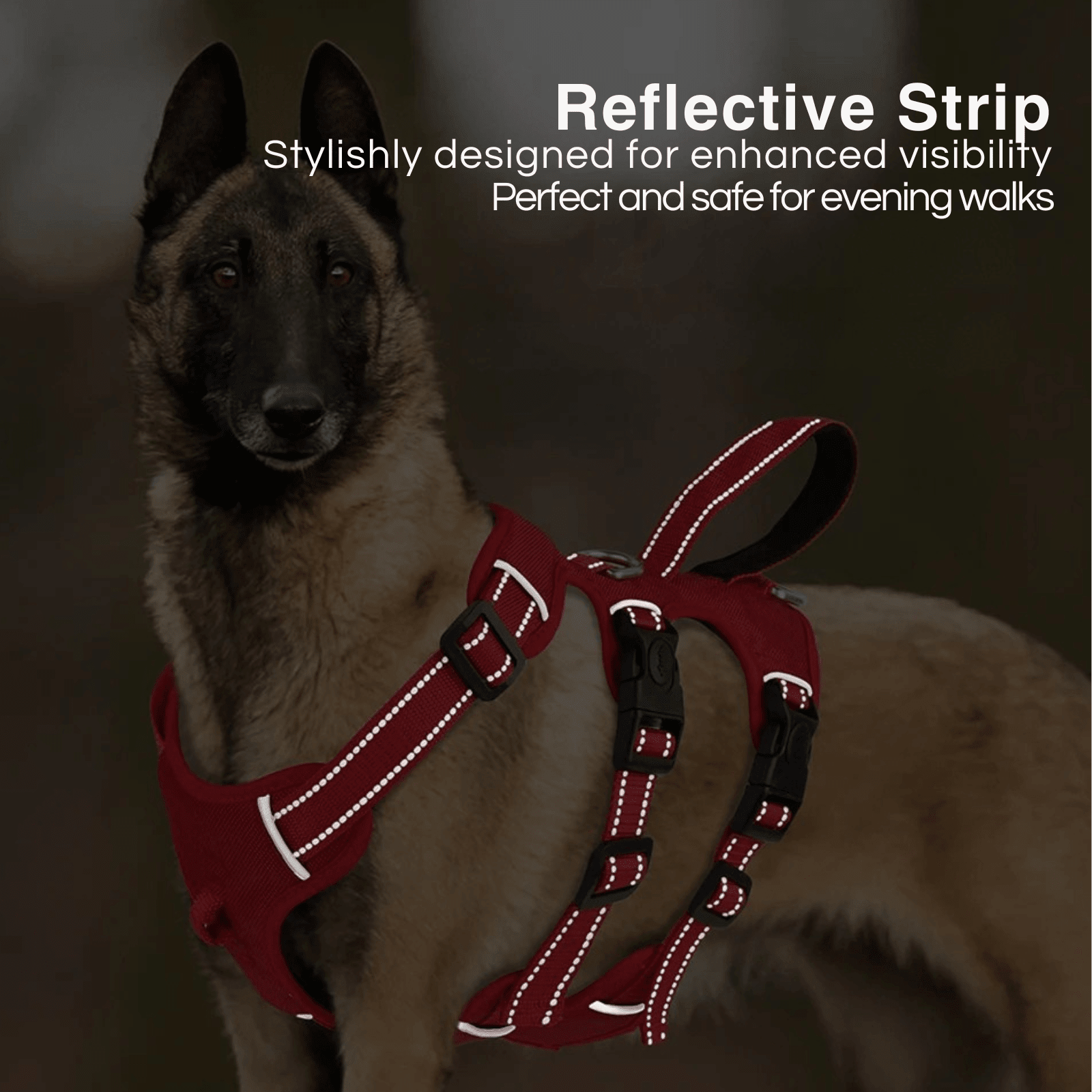 Dog Harness - Extra Sturdy