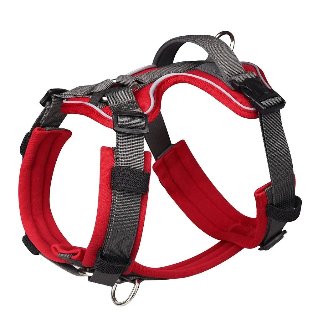 Dog Harness - Reflection and Handle