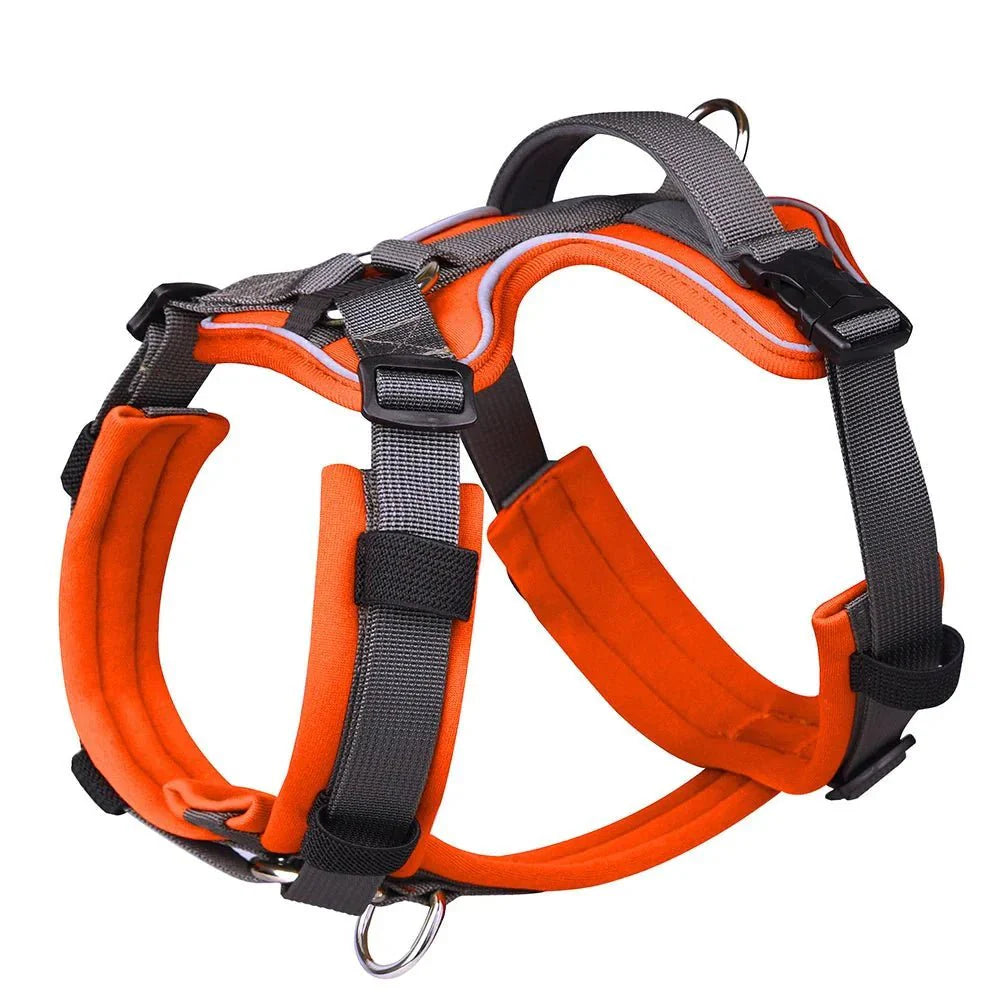 Dog Harness - Reflection and Handle