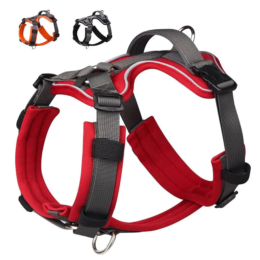 Dog Harness - Reflection and Handle